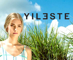 PSD to WordPress Example 2