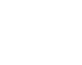 Expert WordPress Developers