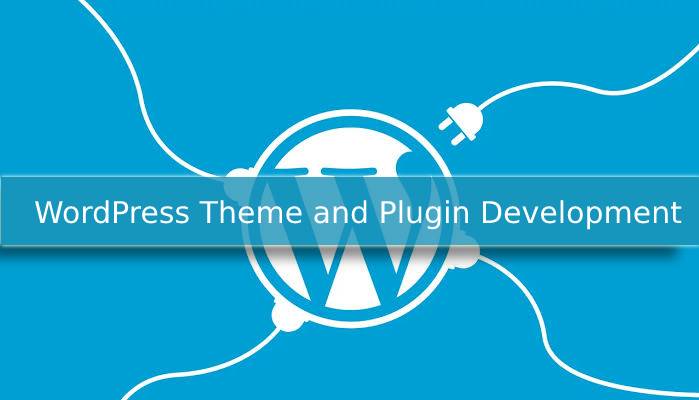 Smart Tips For Wordpress Theme And Plugin Development Hirewpgeeks